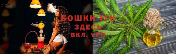хмурый Мегион