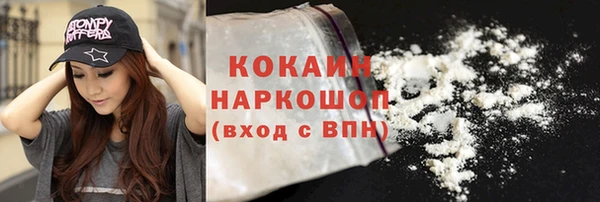 хмурый Мегион