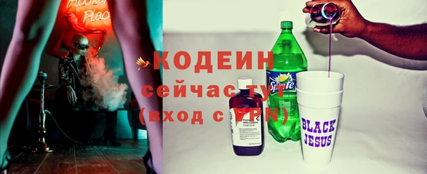 хмурый Мегион