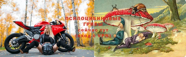 a pvp Медвежьегорск
