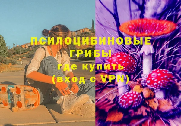 хмурый Мегион