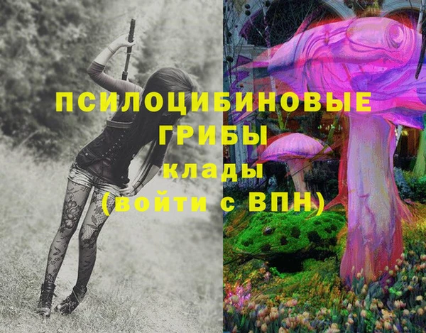 прущая мука Медногорск