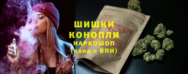хмурый Мегион