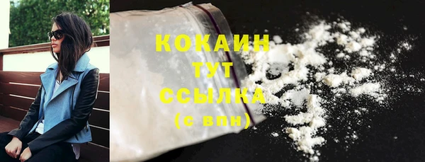 хмурый Мегион