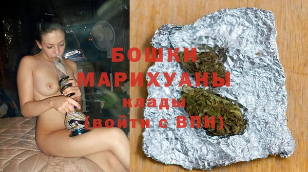 хмурый Мегион