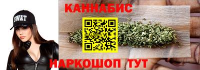 дмт Гатчина