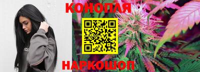 apvp Гай