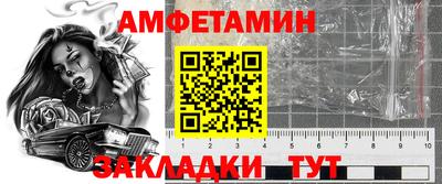 дмт Гатчина