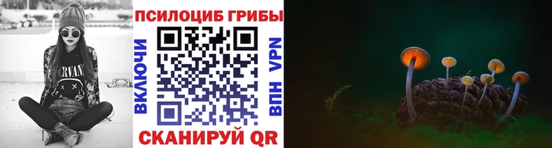 где можно купить наркотик  Первоуральск  МЕГА ссылка  Псилоцибиновые грибы мухоморы 